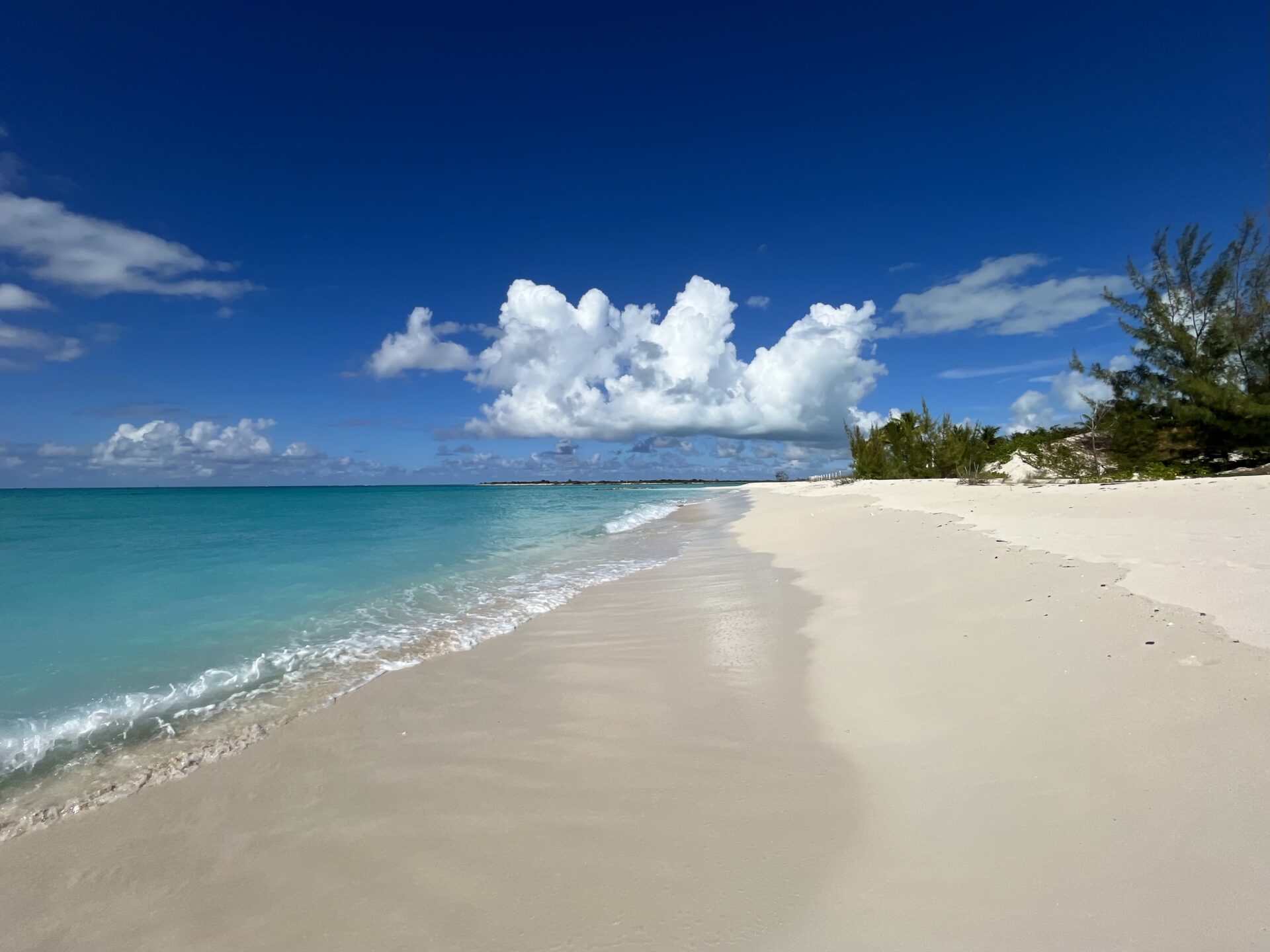 Empty white-sand beach with turquoise water and palm trees on South Caicos, Turks and Caicos.